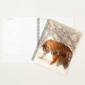 Tigers Planner (Display)