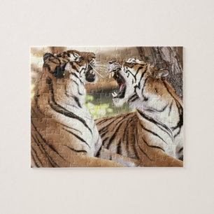 Tigers Puzzle Legpuzzel