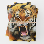 Tiger's roar inpakpapier vel (In situ)
