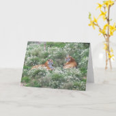 Tigers Step Son Birthday Kaart (Gele Bloem)