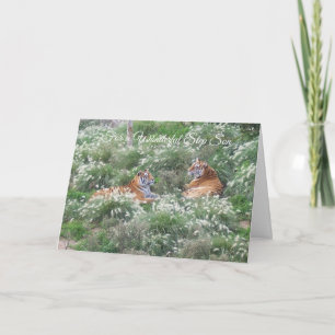 Tigers Step Son Birthday Kaart