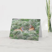 Tigers Step Son Birthday Kaart (Voorkant)