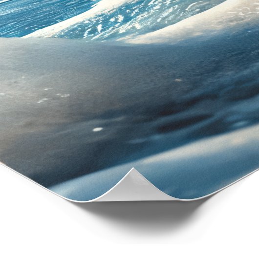 Tigers Wilde Oceaangezwin Poster (Hoek)