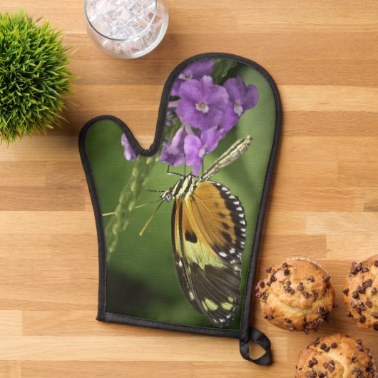 Tigerwing Butterfly  Ovenwant (Top down)