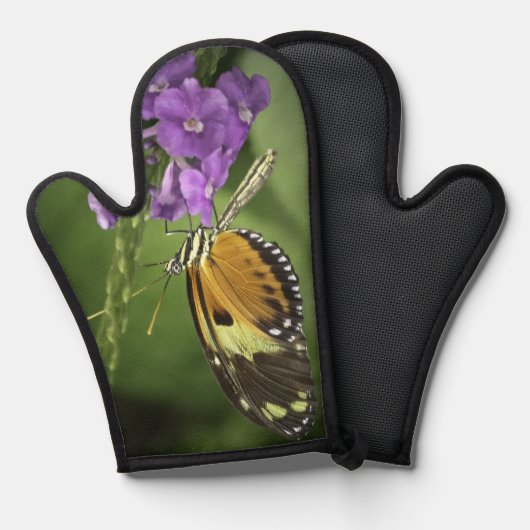 Tigerwing Butterfly  Ovenwant (Voorkant / Achterkant)