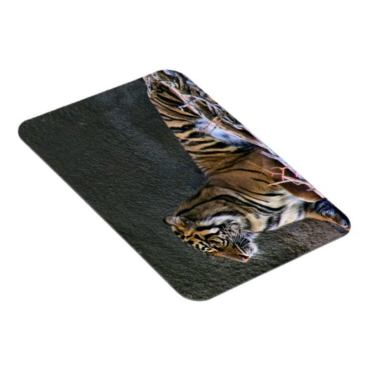 Tigress Magneet (Rechterzijde)