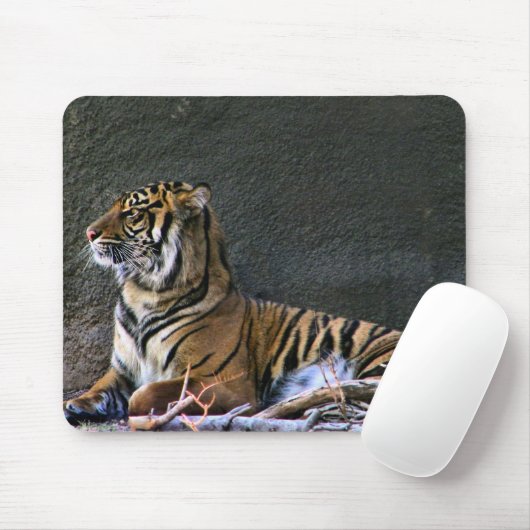 Tigress Muismat (Met muis)