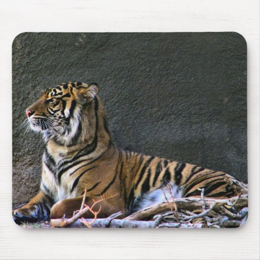 Tigress Muismat (Voorkant)
