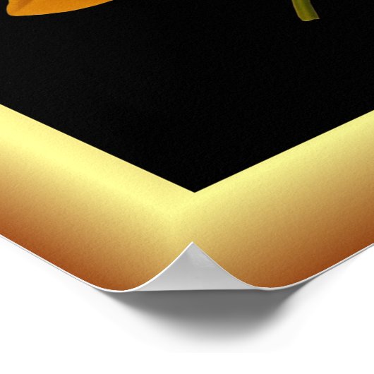 Tigridia Conchidea Var Canariensis ~ Botanisch Poster (Hoek)