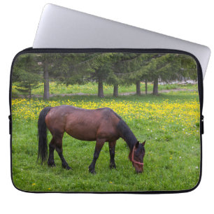 Tihuta-pas, paard in de wei laptop sleeve