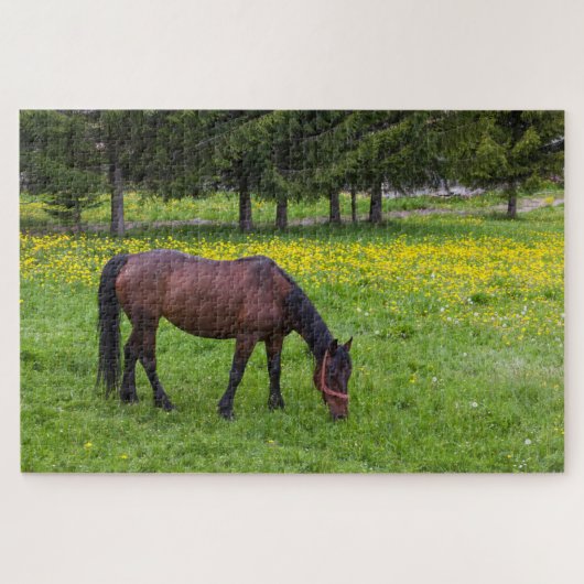 Tihuta-pas, paard in de wei legpuzzel (Horizontaal)