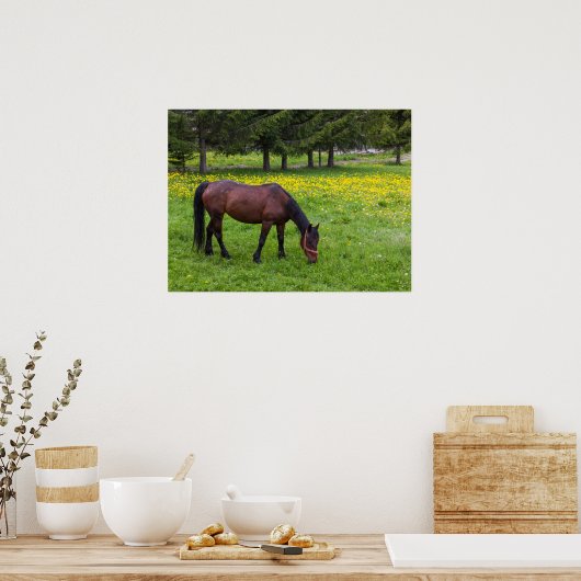 Tihuta Pass, Pastuur in Pasture Poster (Keuken)