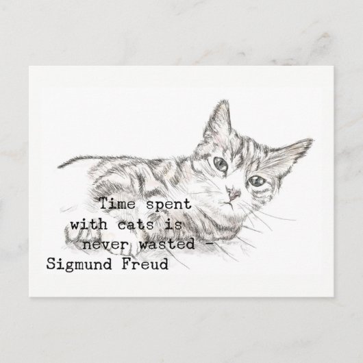 Tijd besteed met katten. . . briefkaart (Voorkant)