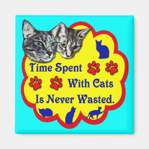 Tijd besteed met katten magneet