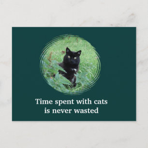 Tijd doorbrengen met katten is nooit verspild Brie Briefkaart
