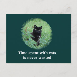 Tijd doorbrengen met katten is nooit verspild Brie Briefkaart