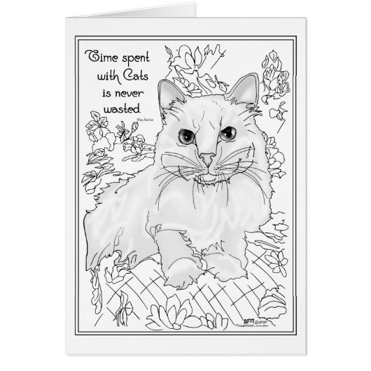 Tijd doorgebracht met katten (Voorkant)