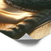 Tijd doorgebracht met lezen met vrienden poster (Hoek)