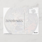 Tijd en waarheid door Nicolas Poussin Briefkaart (Achterkant)