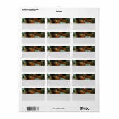 Tijd gespleten abstracte kunst etiket (Full Sheet)