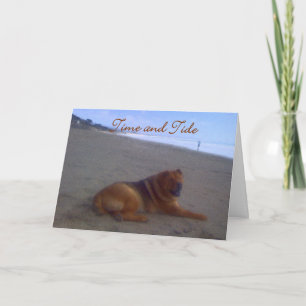 Tijd & Getijde Kaart