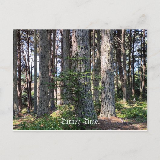 Tijd in Turkije! Briefkaart (Voorkant)