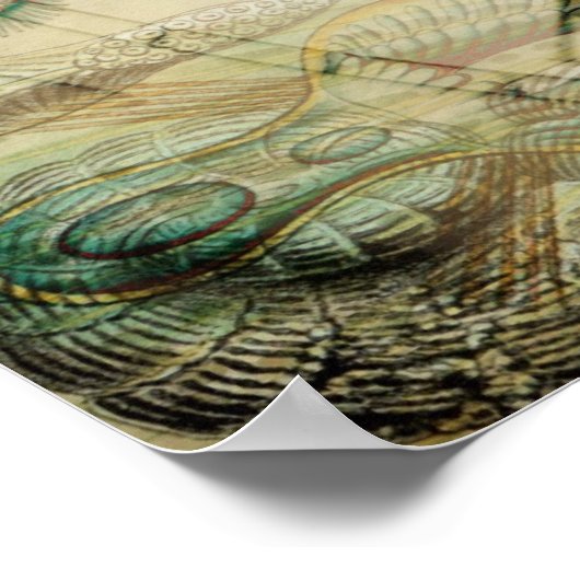 Tijd na tijd poster (Hoek)