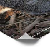 Tijd nemen om het Rozen Poster te roken (Hoek)