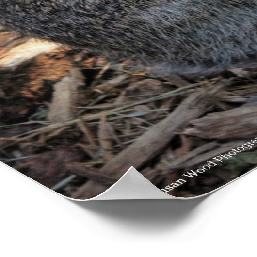 Tijd nemen om het Rozen Poster te roken (Hoek)