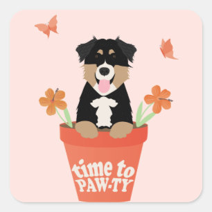 Tijd om Australian Shepherd Dog te betalen Vierkante Sticker