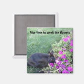 Tijd om de bloemen te ruiken magneet (Voorkant / Achterkant)