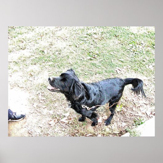 Tijd om de hond te lopen poster (Voorkant)