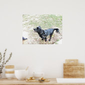 Tijd om de hond te lopen poster (Keuken)