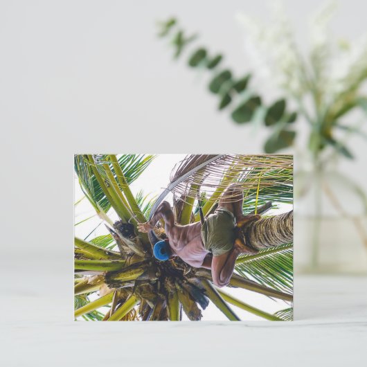 Tijd om de kokosnoten te reinigen briefkaart (Staand voorkant)