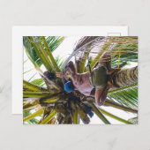 Tijd om de kokosnoten te reinigen briefkaart (Voorkant / Achterkant)