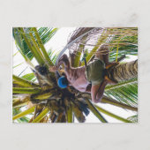 Tijd om de kokosnoten te reinigen briefkaart (Voorkant)