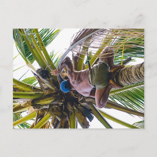 Tijd om de kokosnoten te reinigen briefkaart (Voorkant)