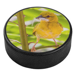 Tijd om het nest te bouwen hockey puck