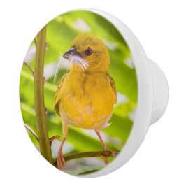 Tijd om het nest te bouwen keramische knop