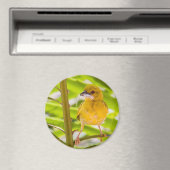 Tijd om het nest te bouwen magneet (Insitu (Vaatwasser))