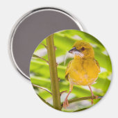 Tijd om het nest te bouwen magneet (Voorkant / Achterkant)