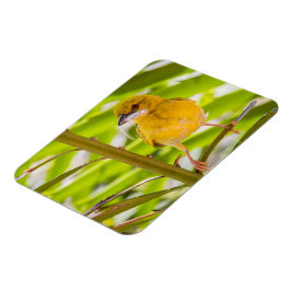 Tijd om het nest te bouwen magneet