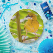 Tijd om het nest te bouwen papieren bordje (Feest)