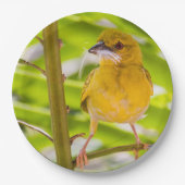 Tijd om het nest te bouwen papieren bordje (Voorkant)