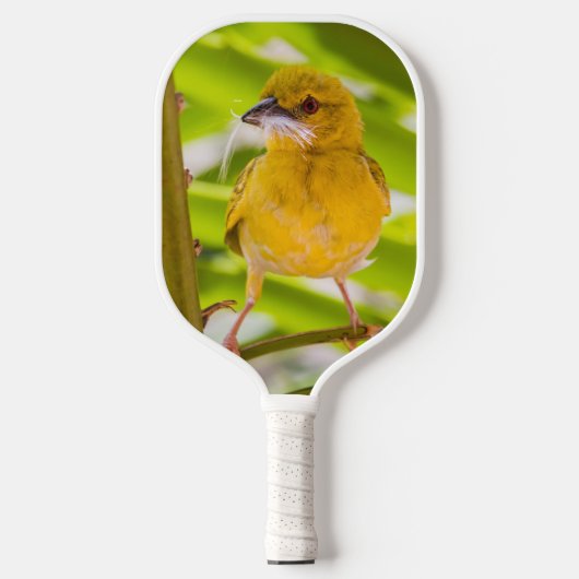 Tijd om het nest te bouwen pickleball paddle (Voorkant)