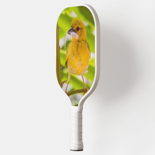 Tijd om het nest te bouwen pickleball paddle (Links)