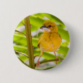 Tijd om het nest te bouwen ronde button 5,7 cm (Voorkant)