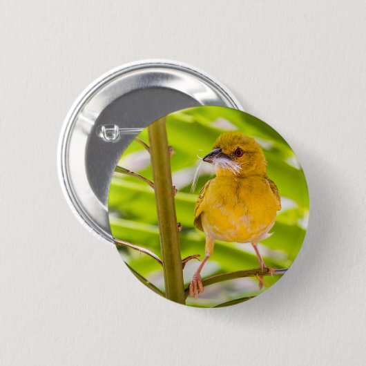 Tijd om het nest te bouwen ronde button 5,7 cm (Voorkant /achterkant)