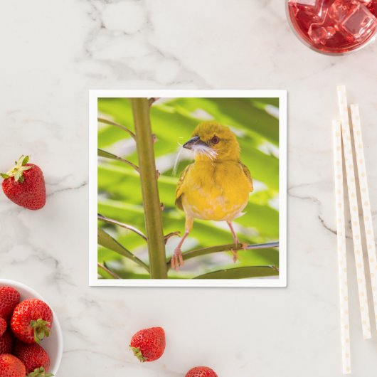 Tijd om het nest te bouwen servet (Insitu)