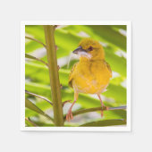 Tijd om het nest te bouwen servet (Voorkant)